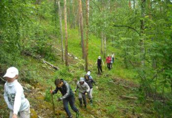 deputat-predlozhil-izuchat-v-shkolah-teoriyu-i-praktiku-turpohodov