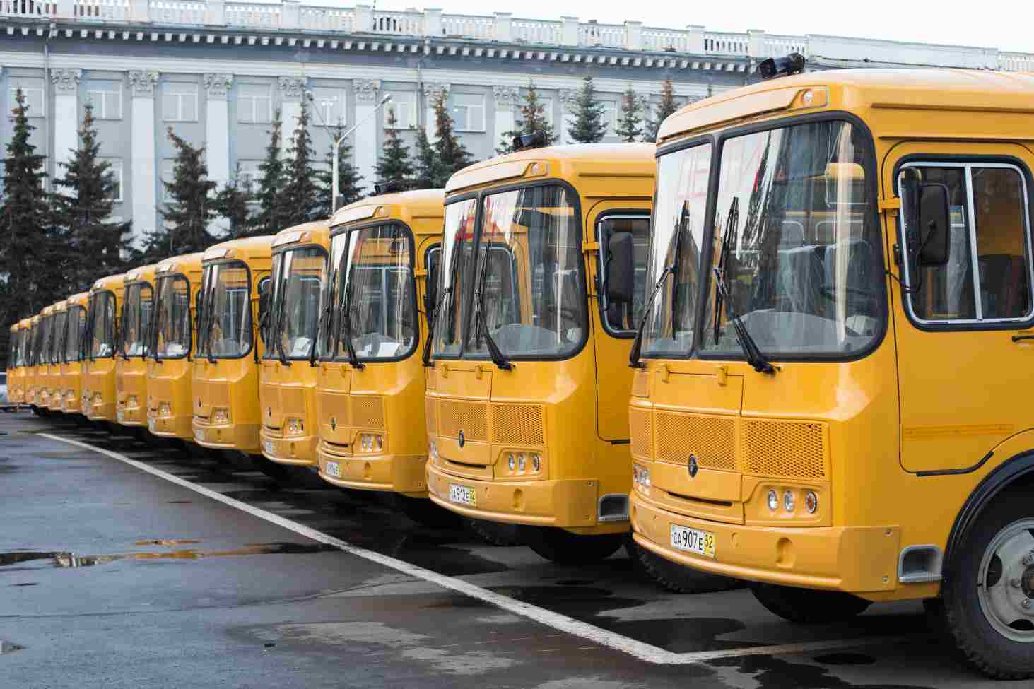 v-rossii-obnovyat-avtobusnyj-park-selskih-shkol