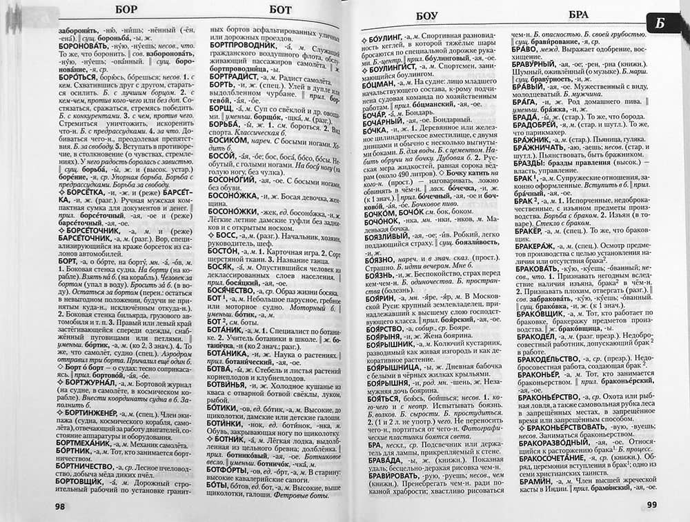 Эксперт предложил утвердить единую линейку словарей русского языка для школьников